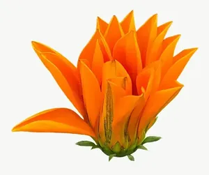 Orange lily flower, round PNG with transparent background, real photo cutout