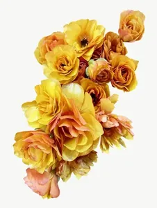 Orange rose cluster flower PNG with transparent background, real photo cutout