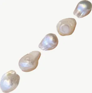 Pearl string, loosely framed PNG with transparent background, real photo cutout