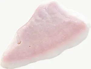 Pink shell fragment seashell PNG with transparent background, real photo cutout