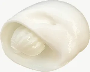 White moon snail seashell, close-up PNG with transparent background, real photo cutout