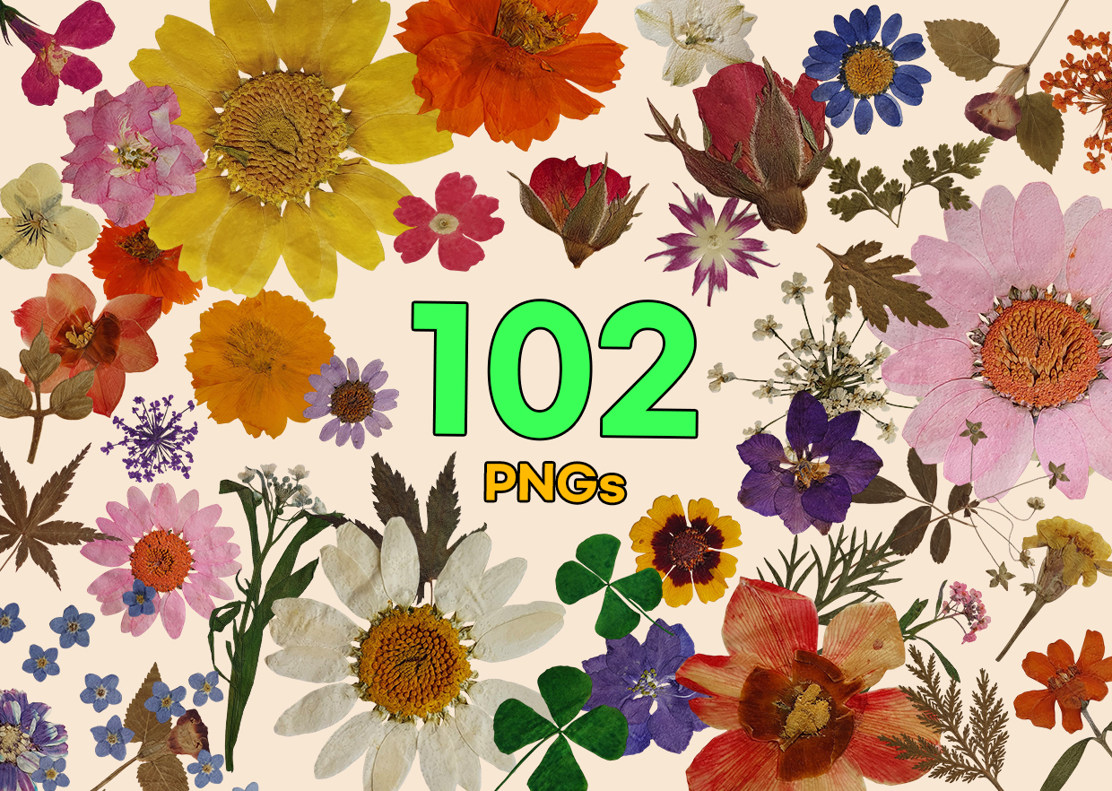 Pressed Flower PNG Vol. 01 product thumbnail