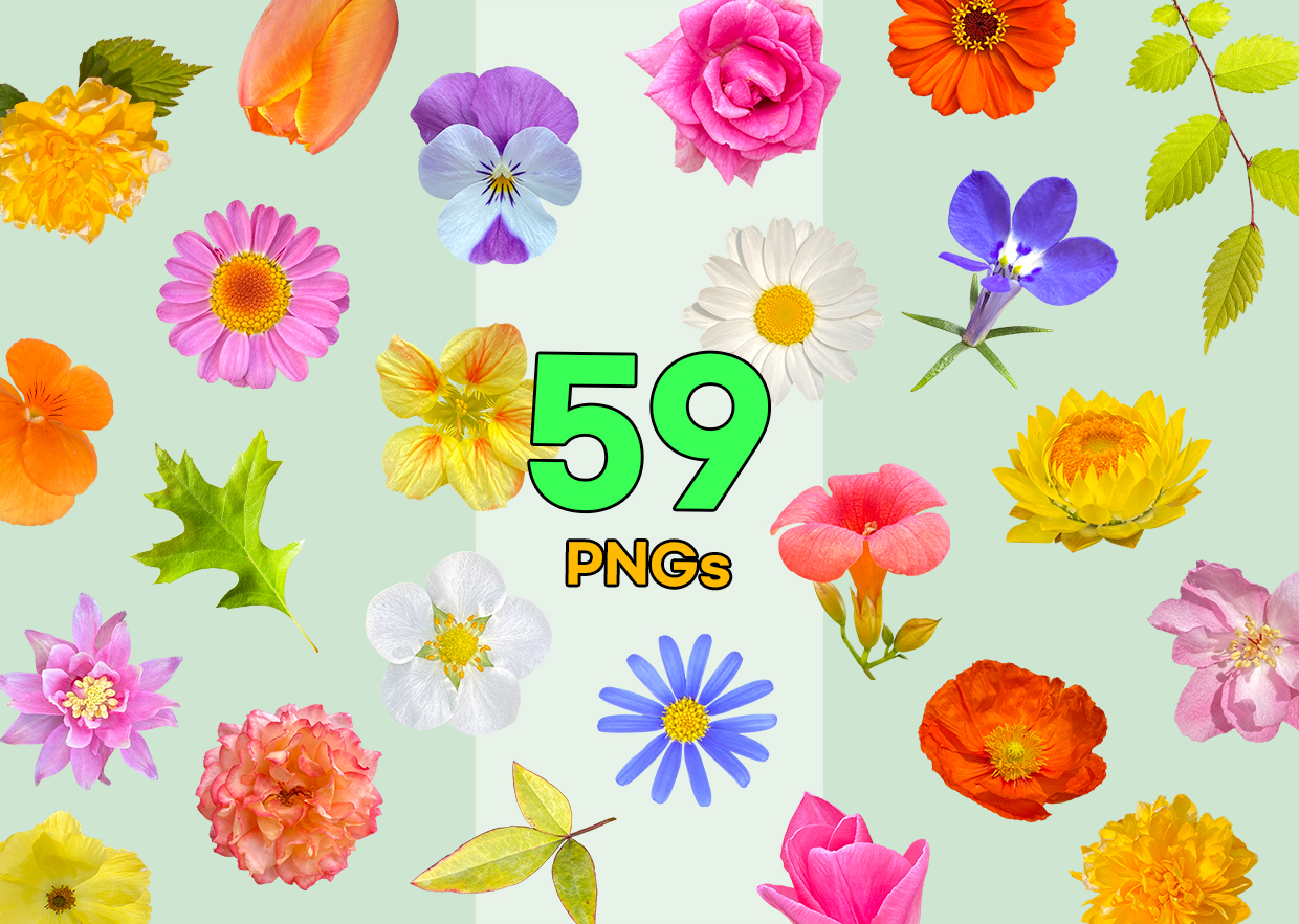 Real Flower PNG Vol. 01 product thumbnail