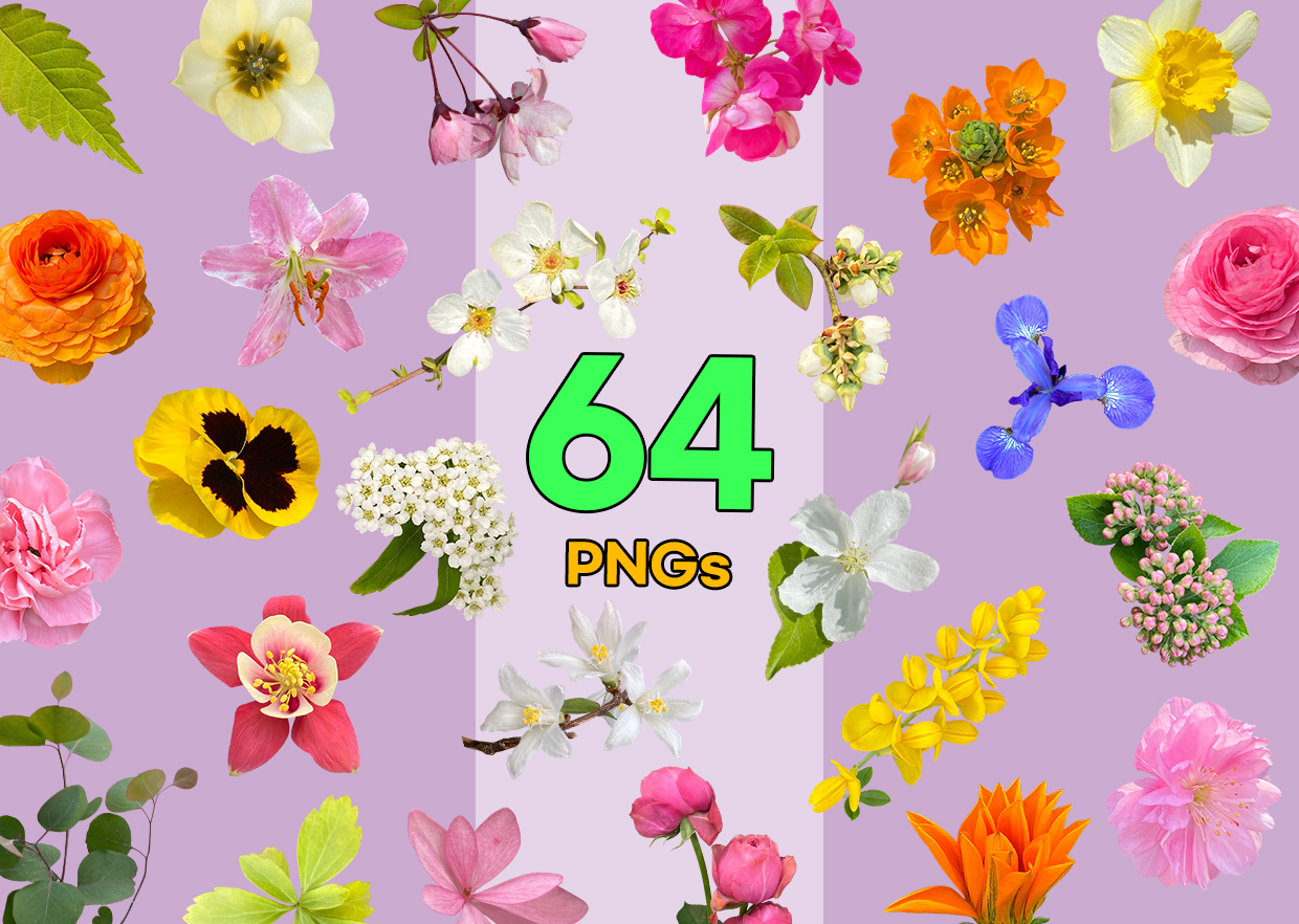 Real Flower PNG Vol. 02 product thumbnail