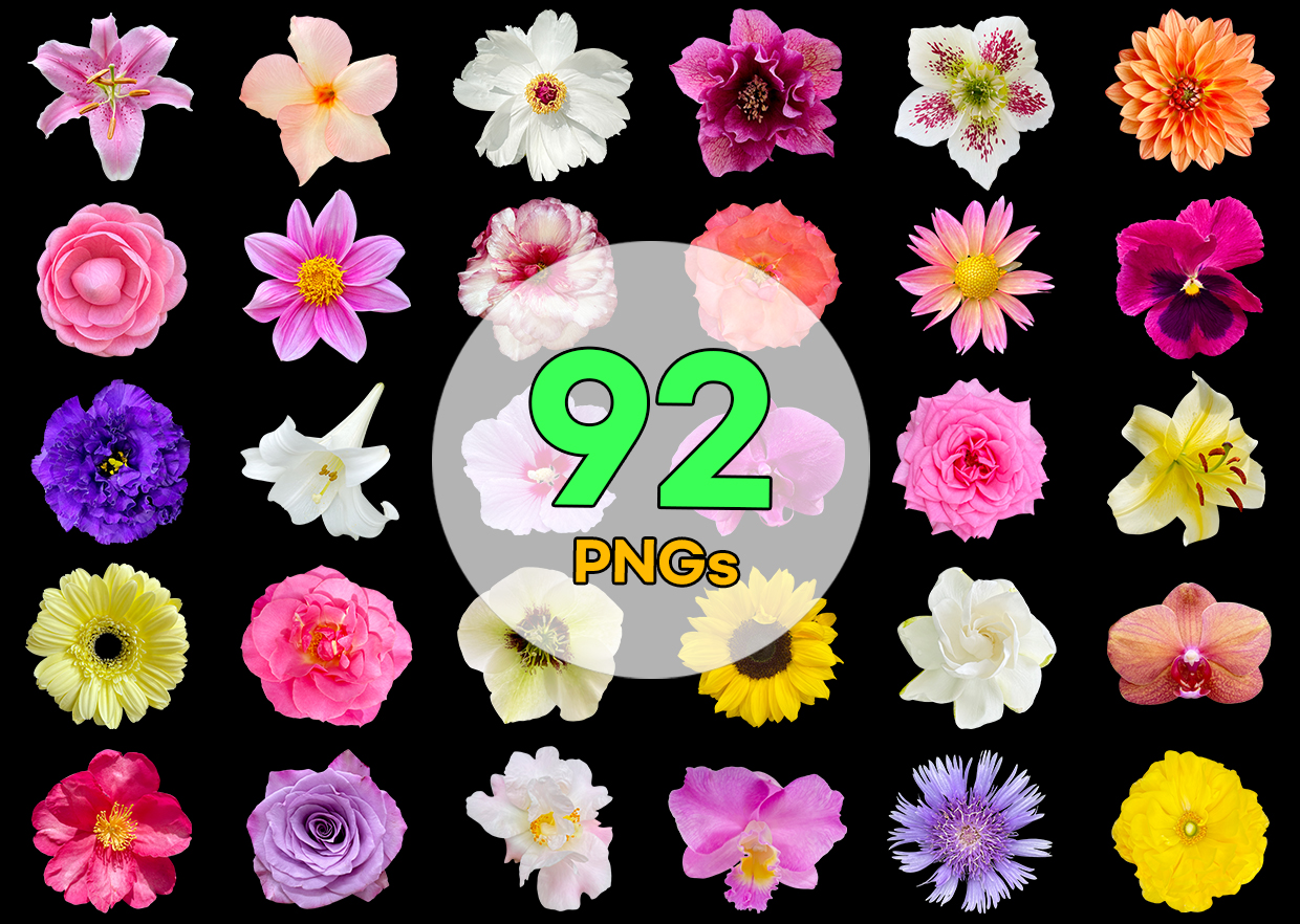 Real Flower PNG Vol. 03 product thumbnail