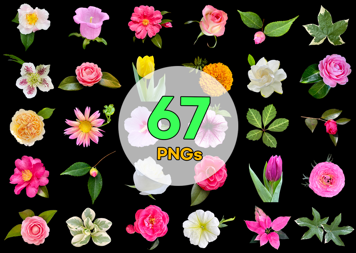 Real Flower PNG Vol. 04 product thumbnail