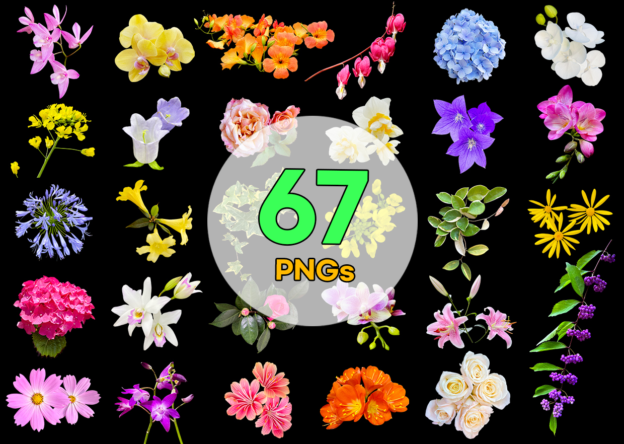 Real Flower PNG Vol. 05 product thumbnail
